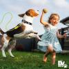 image:imageBV Dog Tie Out Cable 25 Feet  Heavy Duty Dog Lead Up to 250 Pounds  Reflective amp RustFree with Quick Release Swivel Clips amp 360 Rotating Clasp  TangleFree Dogs Runner for Yard Grey Single35lbs 25ft Yellow