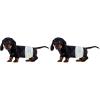 image:imageBV Dog Diapers Male Small Waist 1219in Super Absorbent  Disposable  Doggie Diapers with Wetness Indicator  Adjustable Male Dog Wraps  Ideal for IncontinenceTraining 50 Count Pack of 2Small Pack of 2
